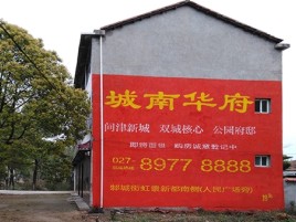 新余百分之90的人都不了解的农村墙体广告