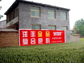 新余如何让墙体广告展现最大化效果