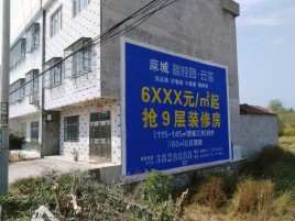 新余墙体广告质量分析