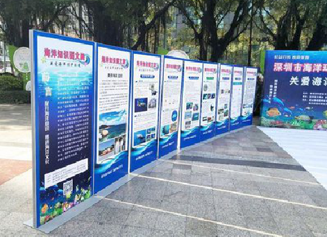 新余KT板的种类和知识。